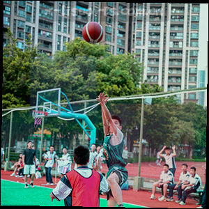 数据面板功能示意图：联赛积分与实时排名